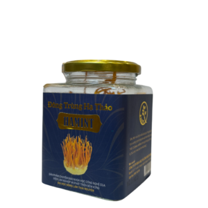 Alternative view of Combo Đông Trùng Hạ Thảo Hamint