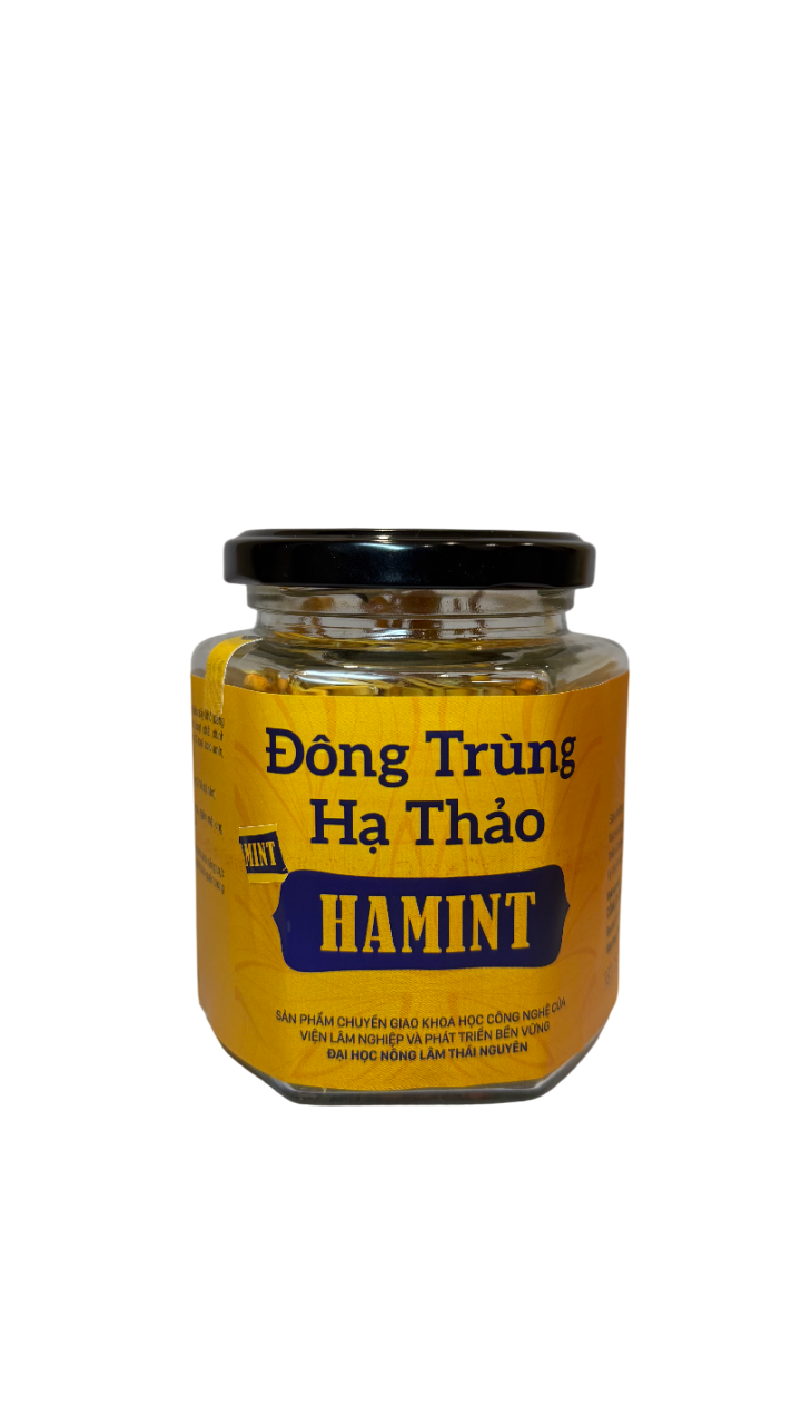 Đông Trùng Hạ Thảo Hamint