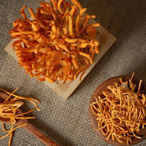 Combo Đông Trùng Hạ Thảo Gia Đình